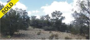 Private 42-acre lot 1551 in Sierra Verde Ranch