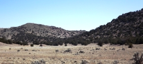 King of Your Own Hill on Lot 420