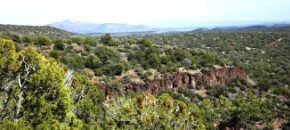 36.84 Beautiful Acres in Shadow Rock Ranch