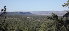 Nearly 8 Acres at 481E Sierra Verde Ranch