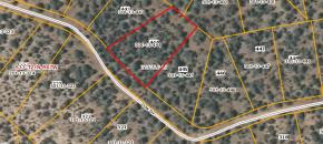 Lots 444 and 445, Forest Acres, 2.21 acres for $6,000